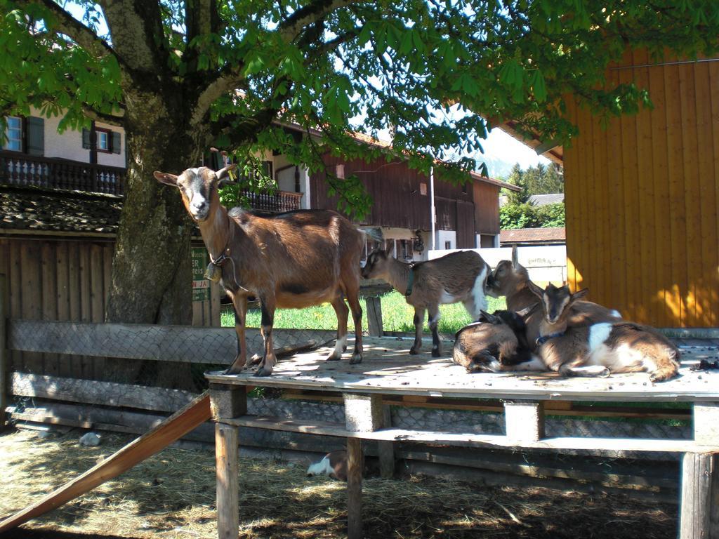 Familien-Bauernhof-Berghammer Rottach-Egern Bilik gambar